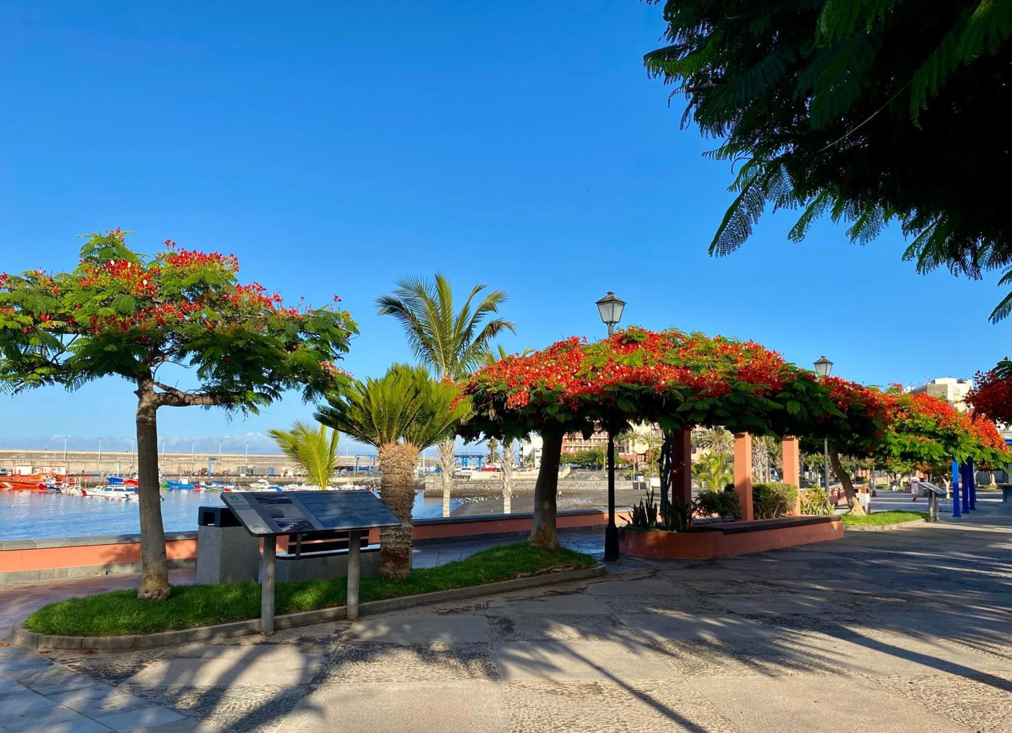 Casa Antonio - Apartamento Sol Playa de San Juan  Exteriér fotografie
